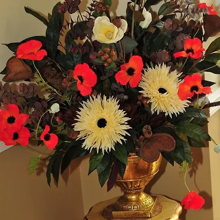 فندق مبيت وإفطار Killererin House 3*